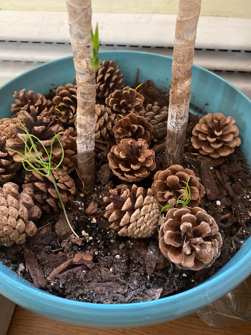 2. Perfect Drainage Helpers For Potted Plants