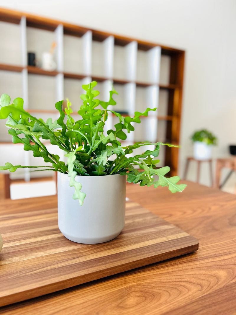 2. Water Wisely During Growth Season