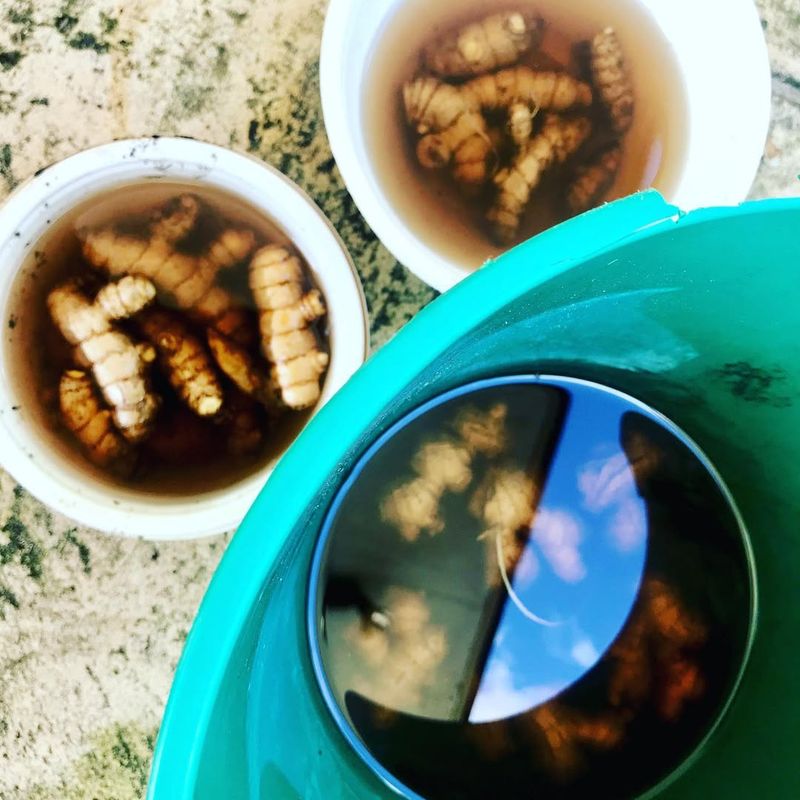 2. Soak Your Ginger Before Planting