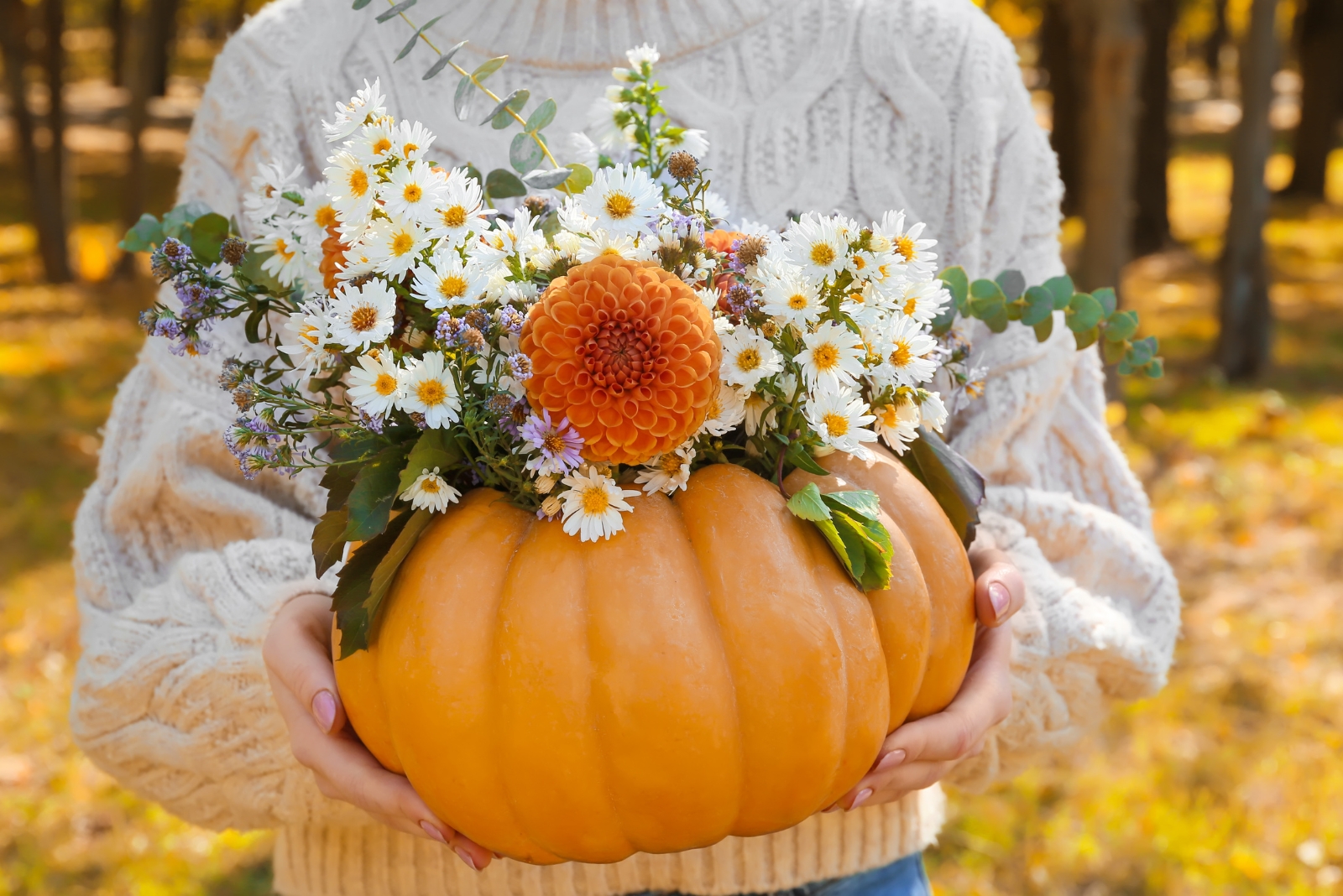 10 Creative Ideas For Pumpkins That Are Past Their Peak In Vermont