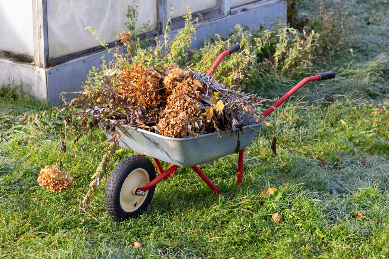 10 Essential Gardening Tasks Colorado Gardeners Should Handle In November