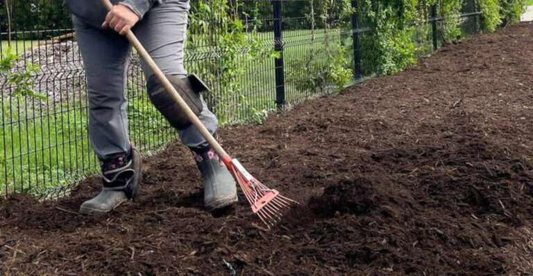 woman mulching garden