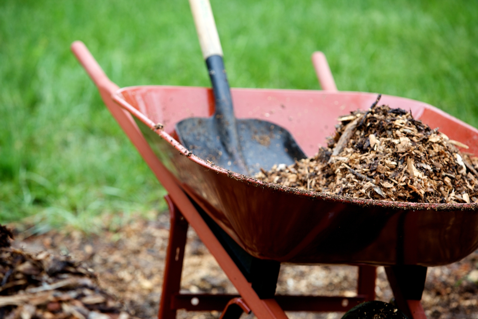 10 Important Gardening Tasks For Texas Homeowners In November