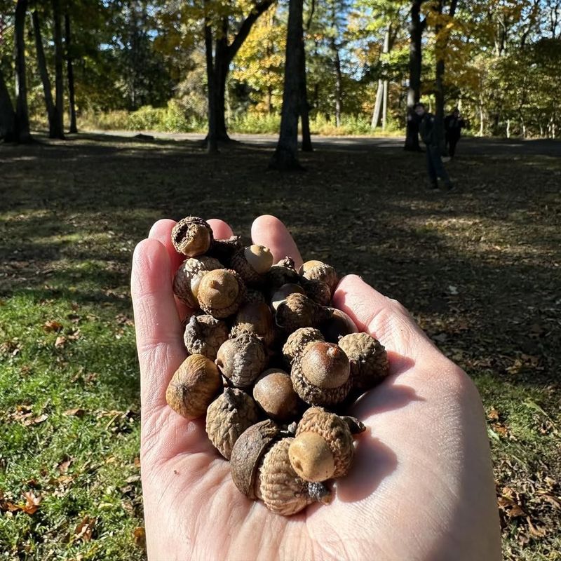 Perfect Spring Weather Created Ideal Growing Conditions