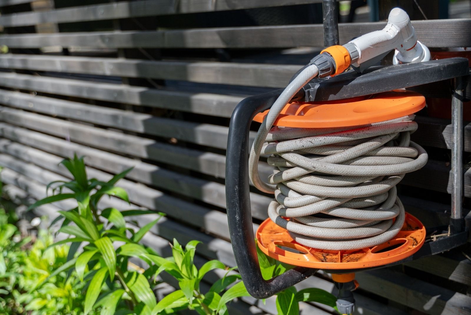 10 Winter Dos And Don’ts For Your Michigan Garden