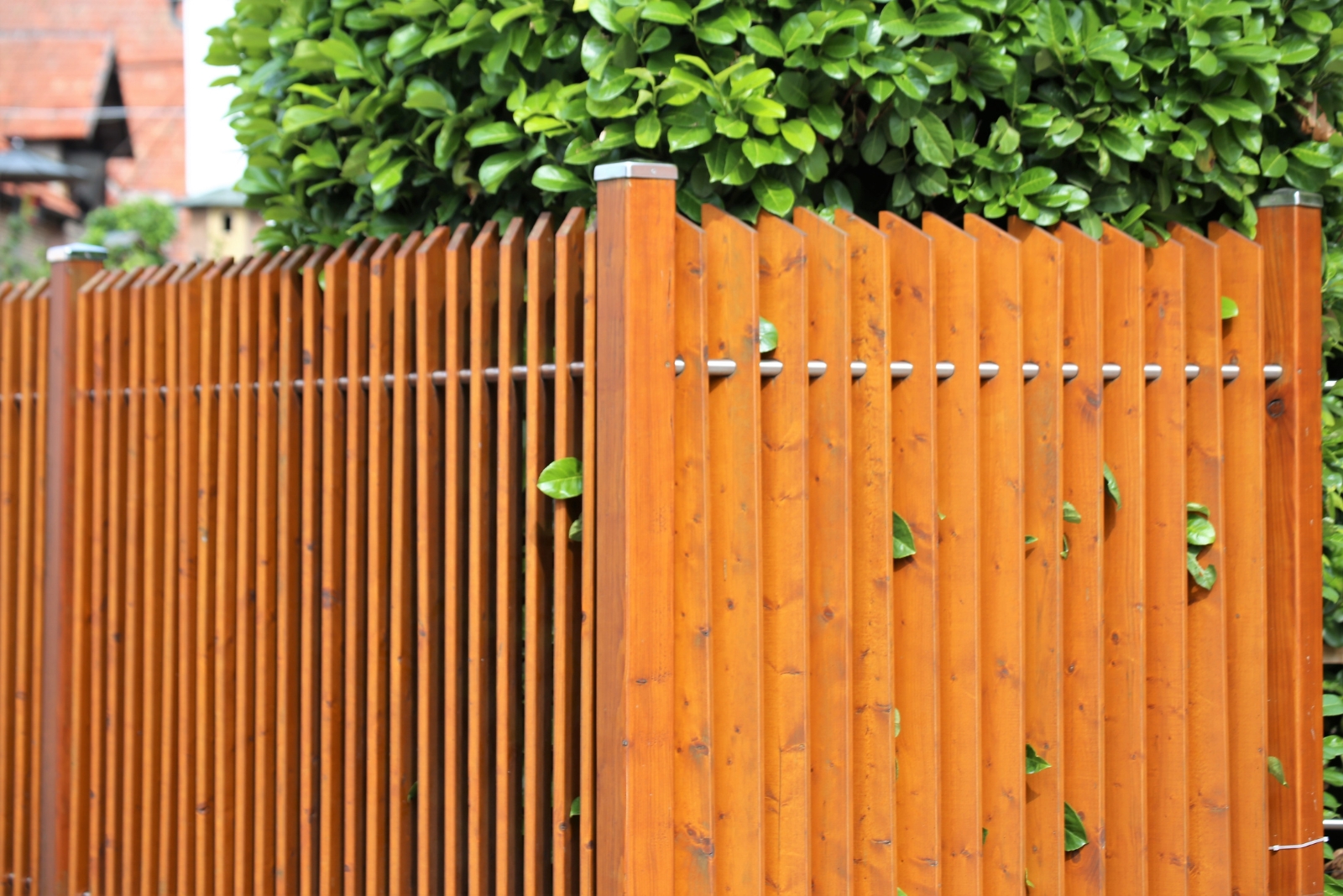 fence (featured image)