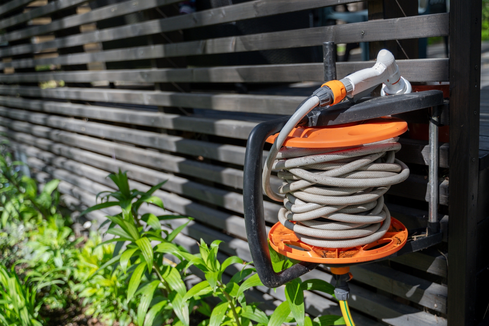 11 November Gardening Tasks Washington Homeowners Should Focus On