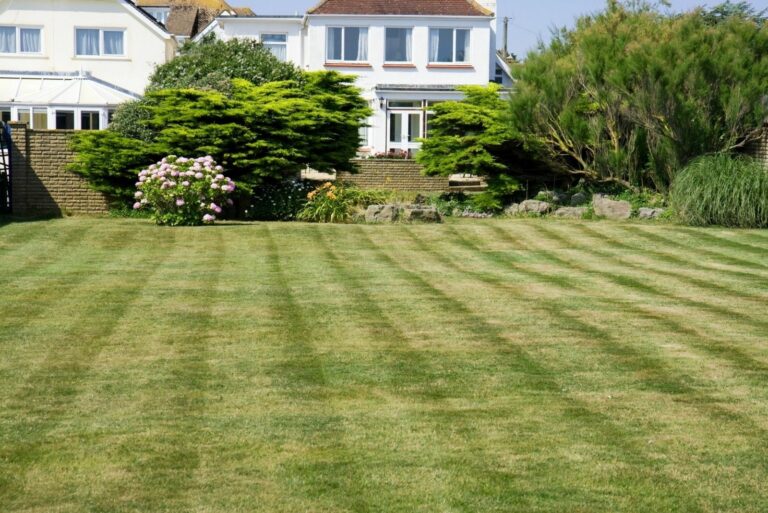 lawn pattern