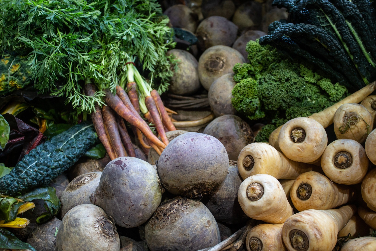 11 Root Vegetables Kentucky Gardeners Plant Before Christmas For A Winter Crop