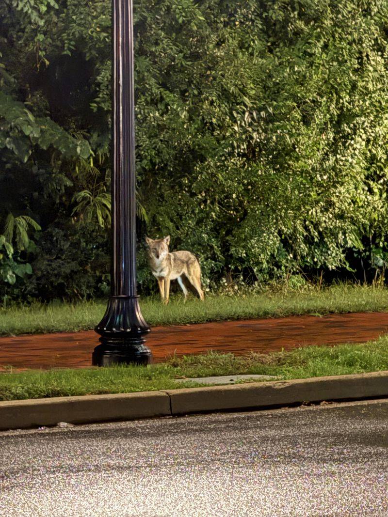 Stay Calm And Assess The Situation