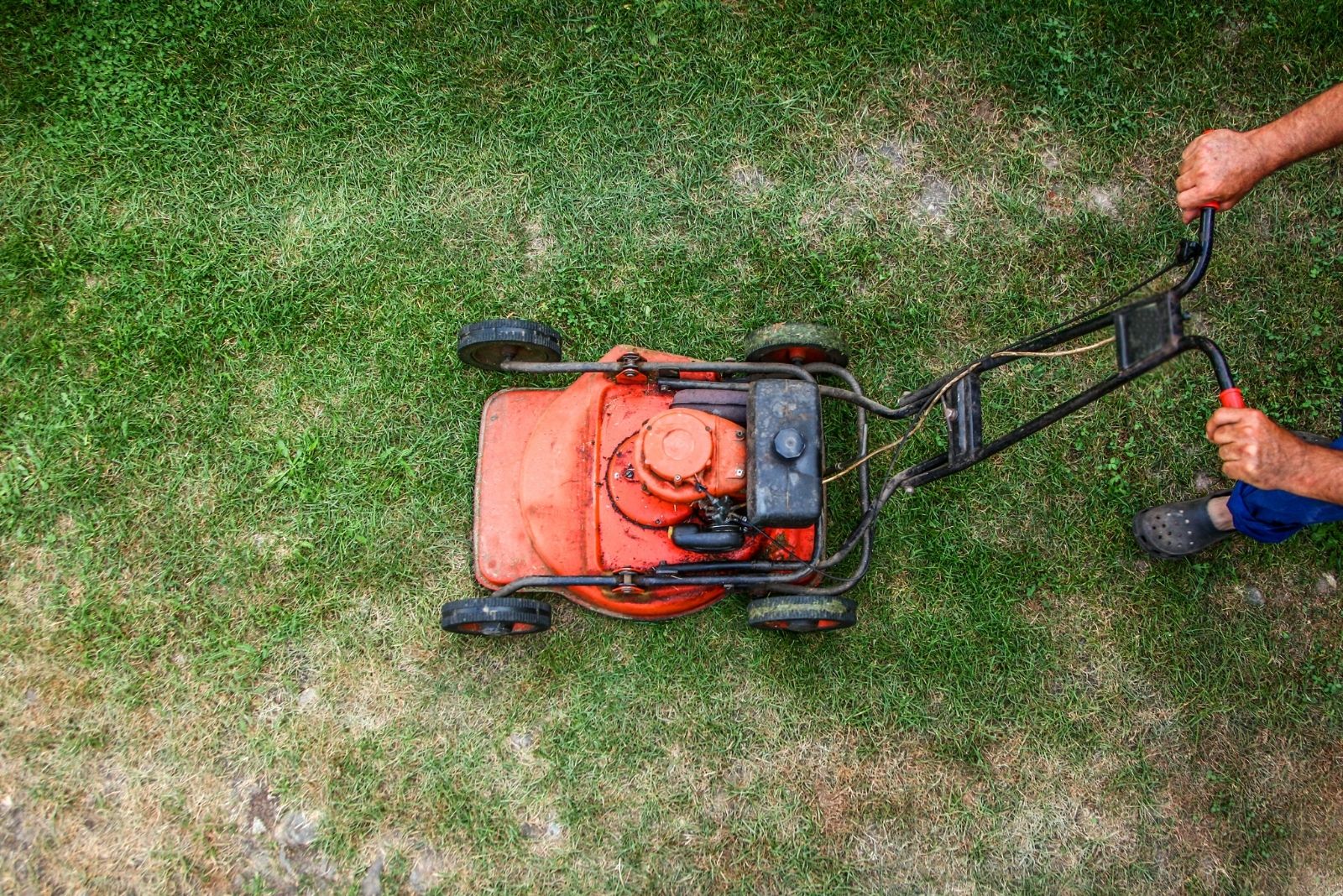 12 November Lawn Mowing Rules Every Arizona Homeowner Should Know