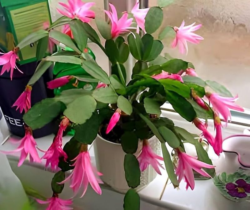 3. Kitchen Lighting During Late Night Snacks