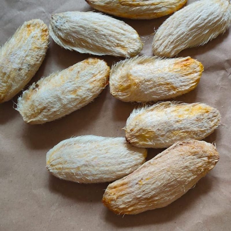 3. Packed With Antioxidants