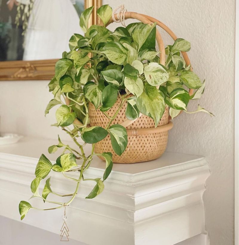 3. Less Sunlight Means Less Water Needed