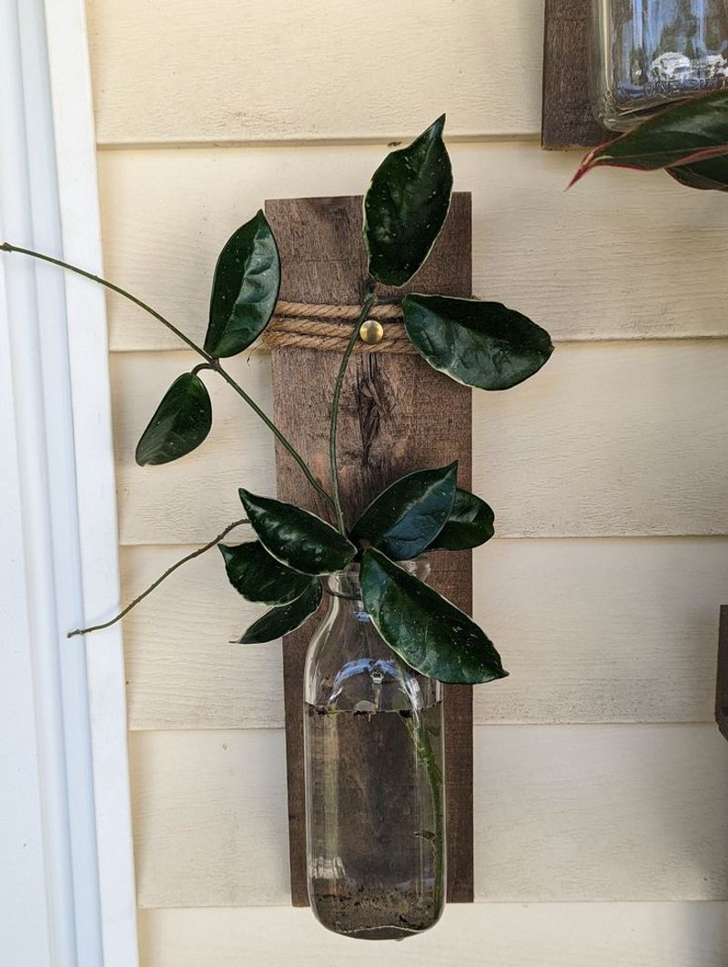 #4 Propagation Stations In Vintage Bottles