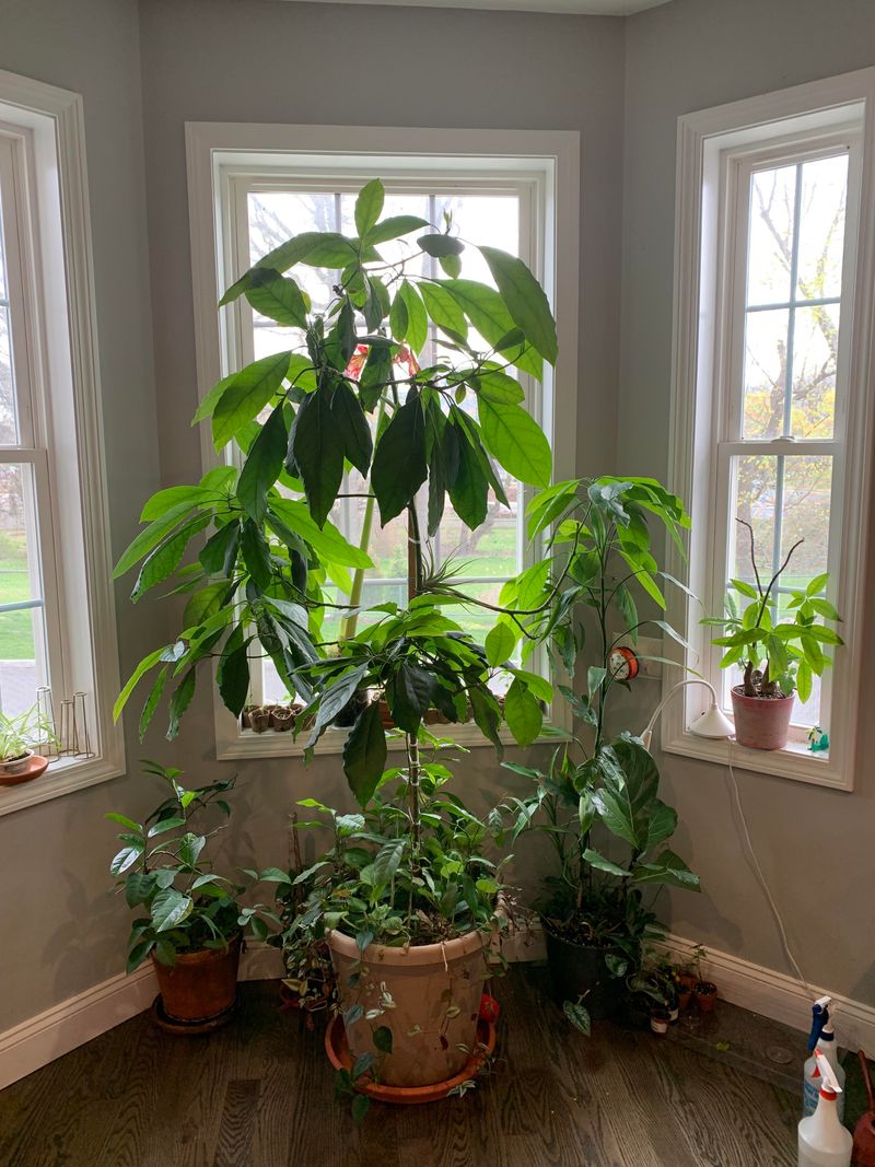 #4 Find A Sunny Spot