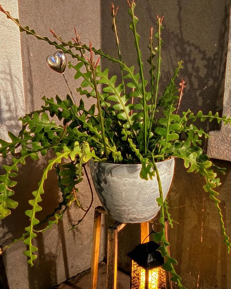 4. Maintain Proper Temperature Ranges