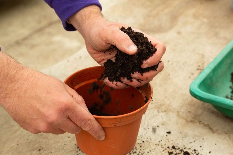 4. Perfect Starter Pots For Seeds