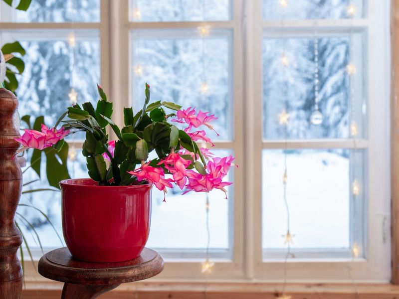 4. Digital Device Glow Adds Up Over Time