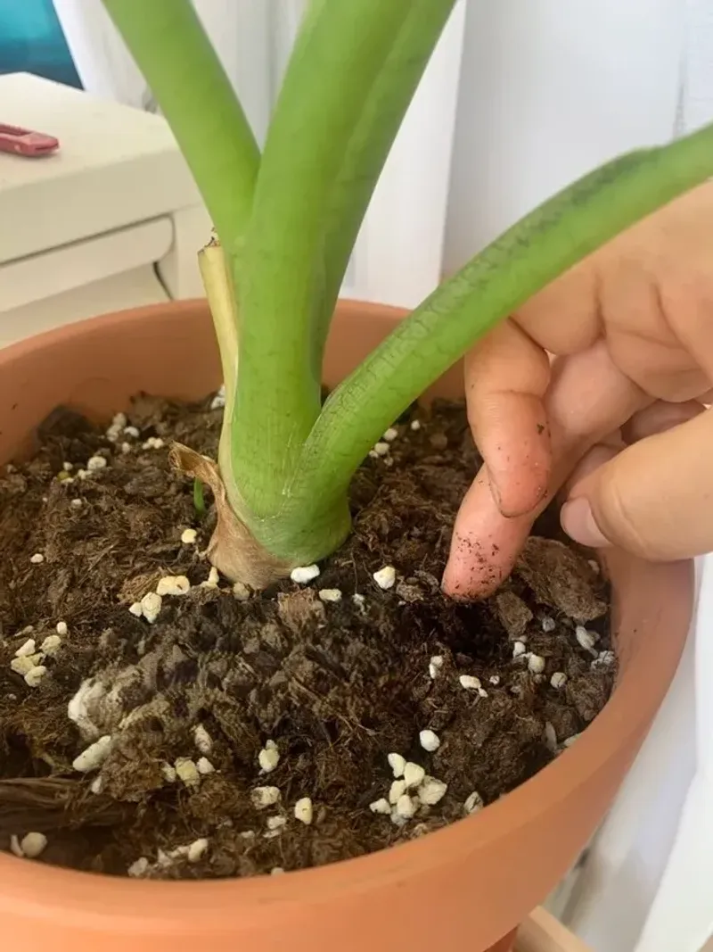 4. Cooler Temperatures Slow Water Evaporation