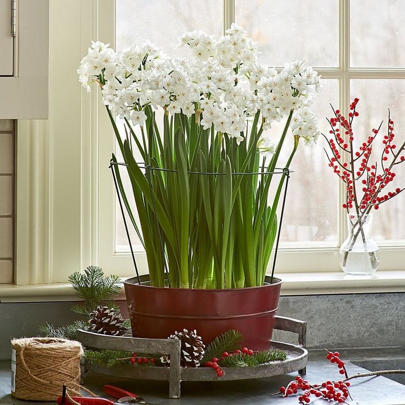 4. Perfect Timing For The Holidays