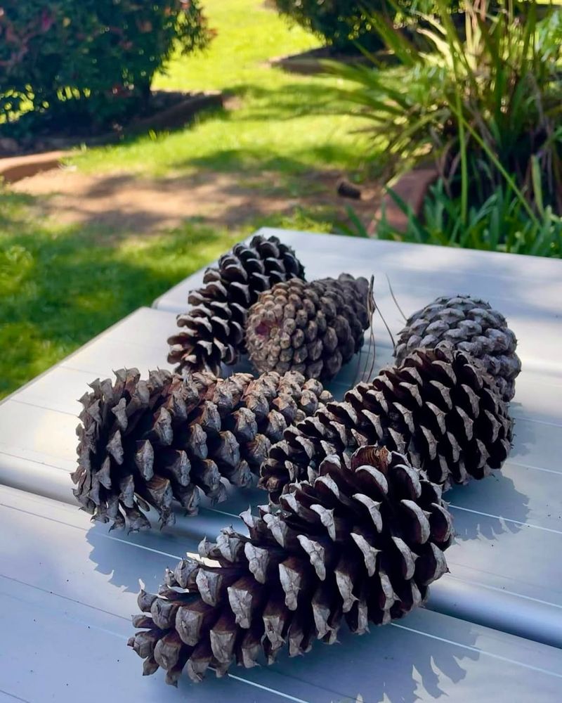 4. Amazing Fire Starters For Garden Cleanup Days