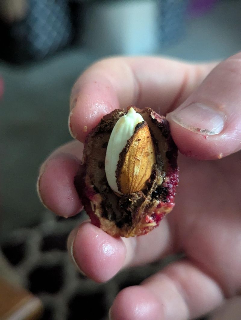 4. Plant Seeds At The Right Depth