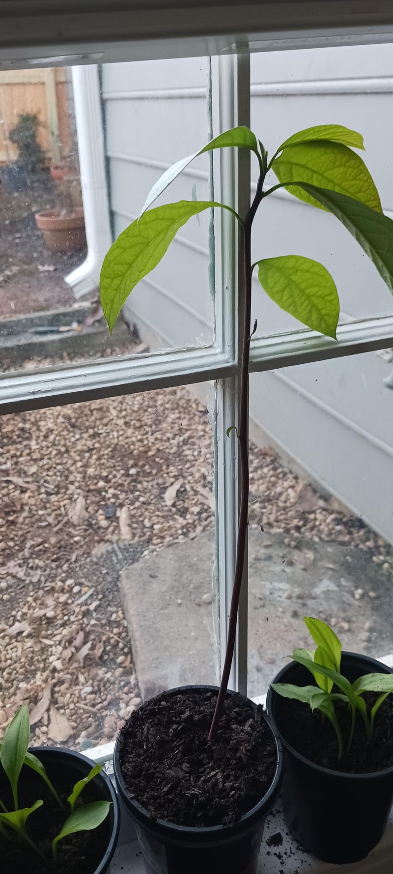 #5 Water Wisely And Wait