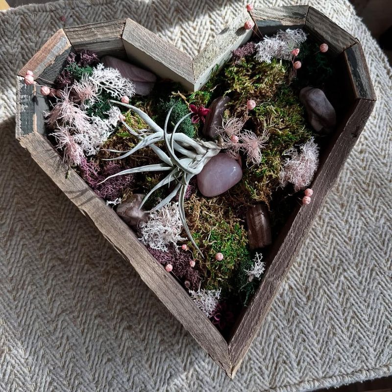 #5 Moss Gardens In Wooden Boxes