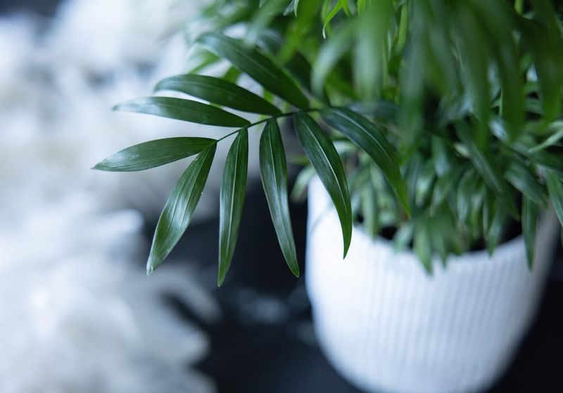 5. Humidity Levels Change Everything