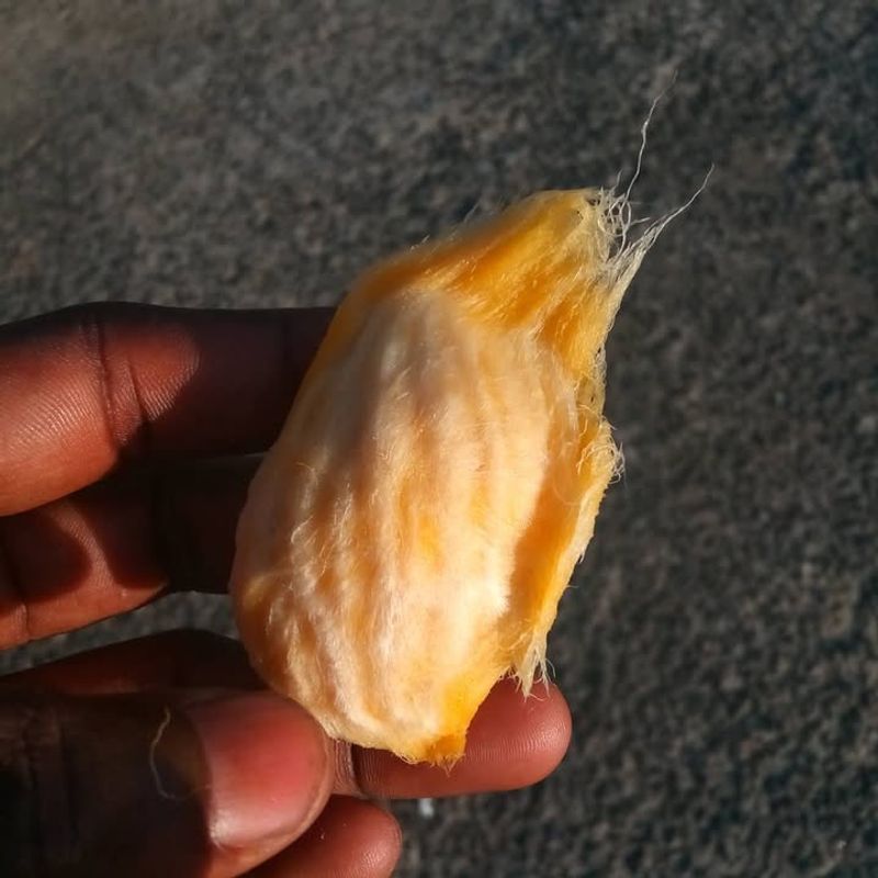 5. Supports Heart Health