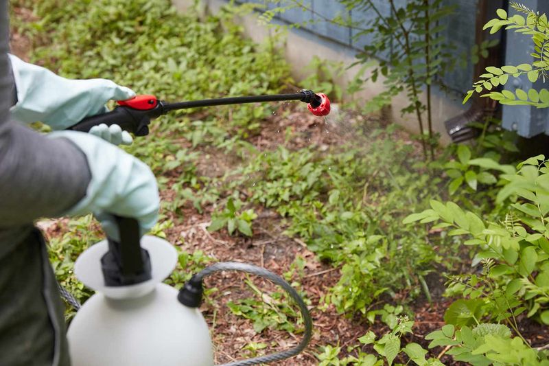 5. Herbicide Application