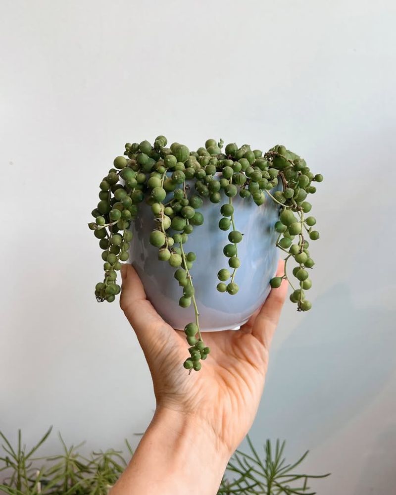 5. The Minimal Space It Requires Fits Perfectly In Small Winter Quarters