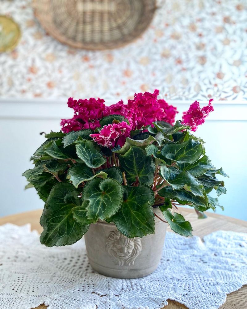 6. Pot Material And Size Matter More Now