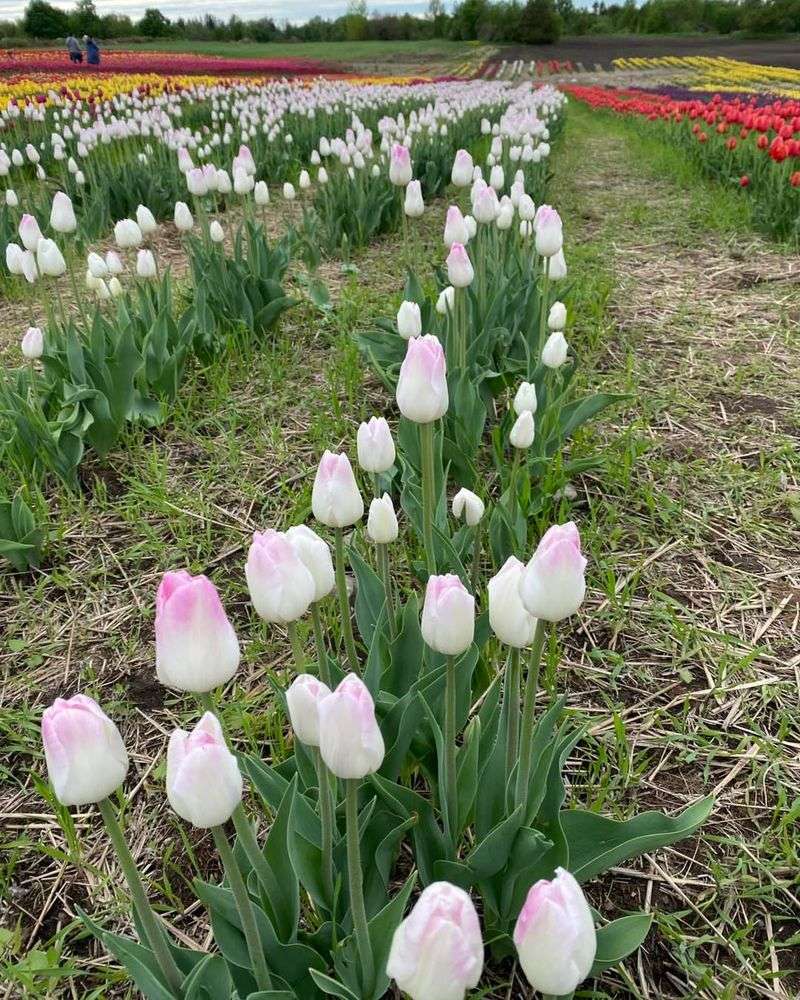 6. Climate And Weather Play A Big Role