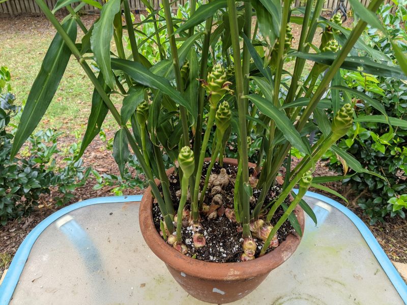 6. Keep It Warm And Humid