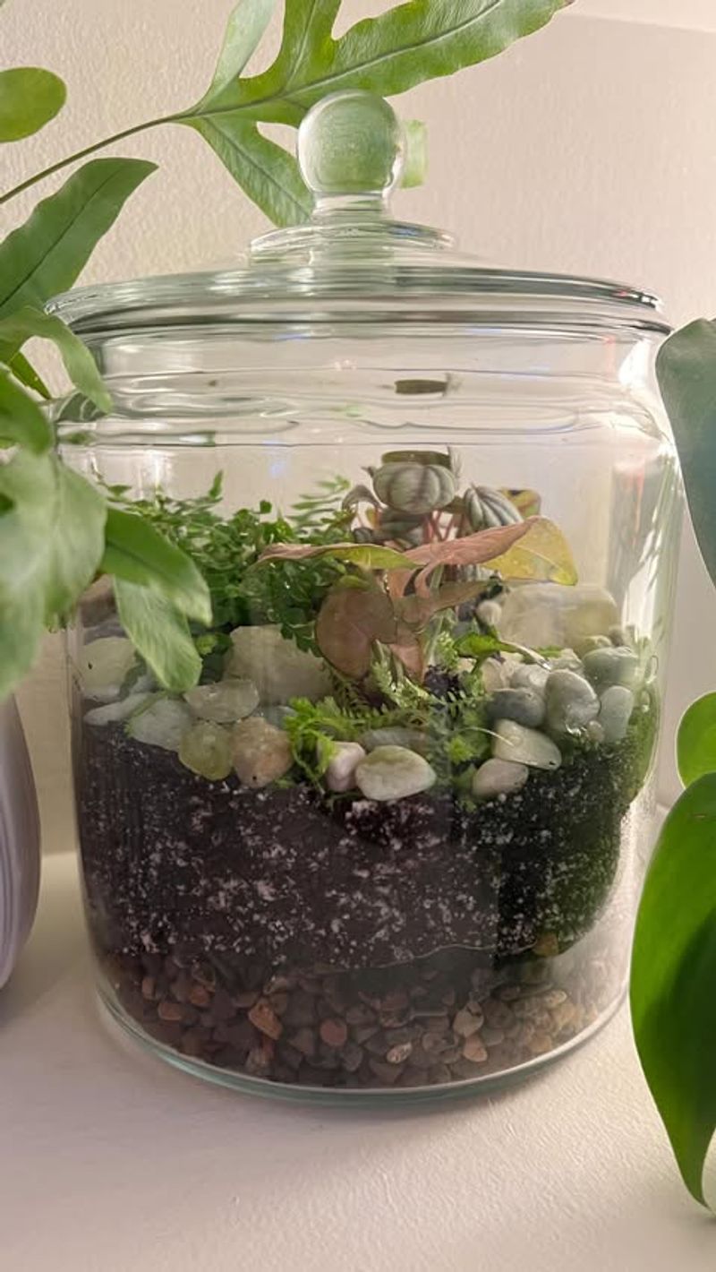 #7 Layered Soil Jars With Small Ferns