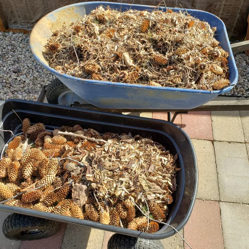 7. Compost Bin Carbon Boost