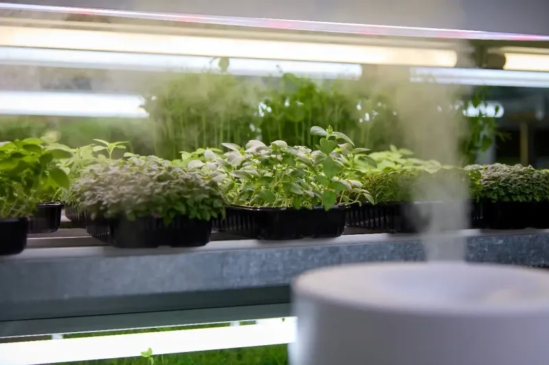 7. Control Temperature And Humidity Levels