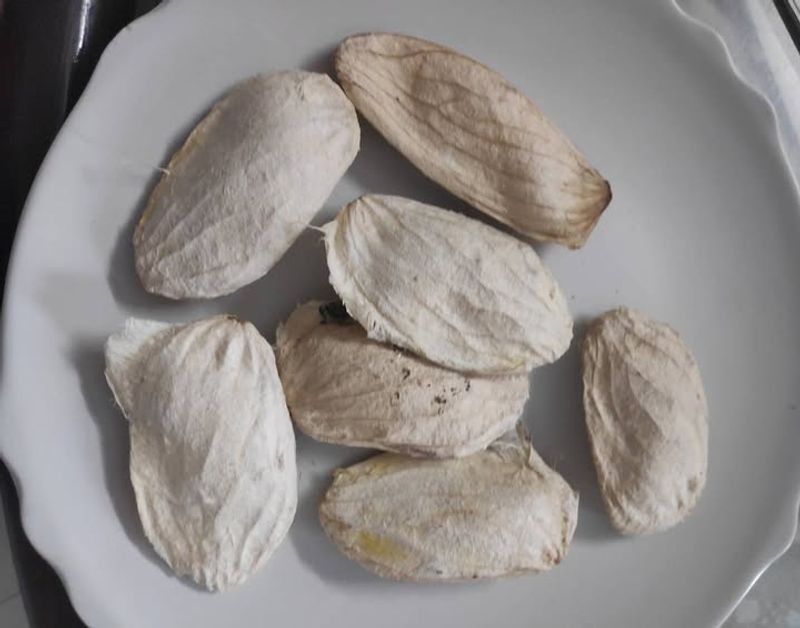 4. Promotes Healthier Skin