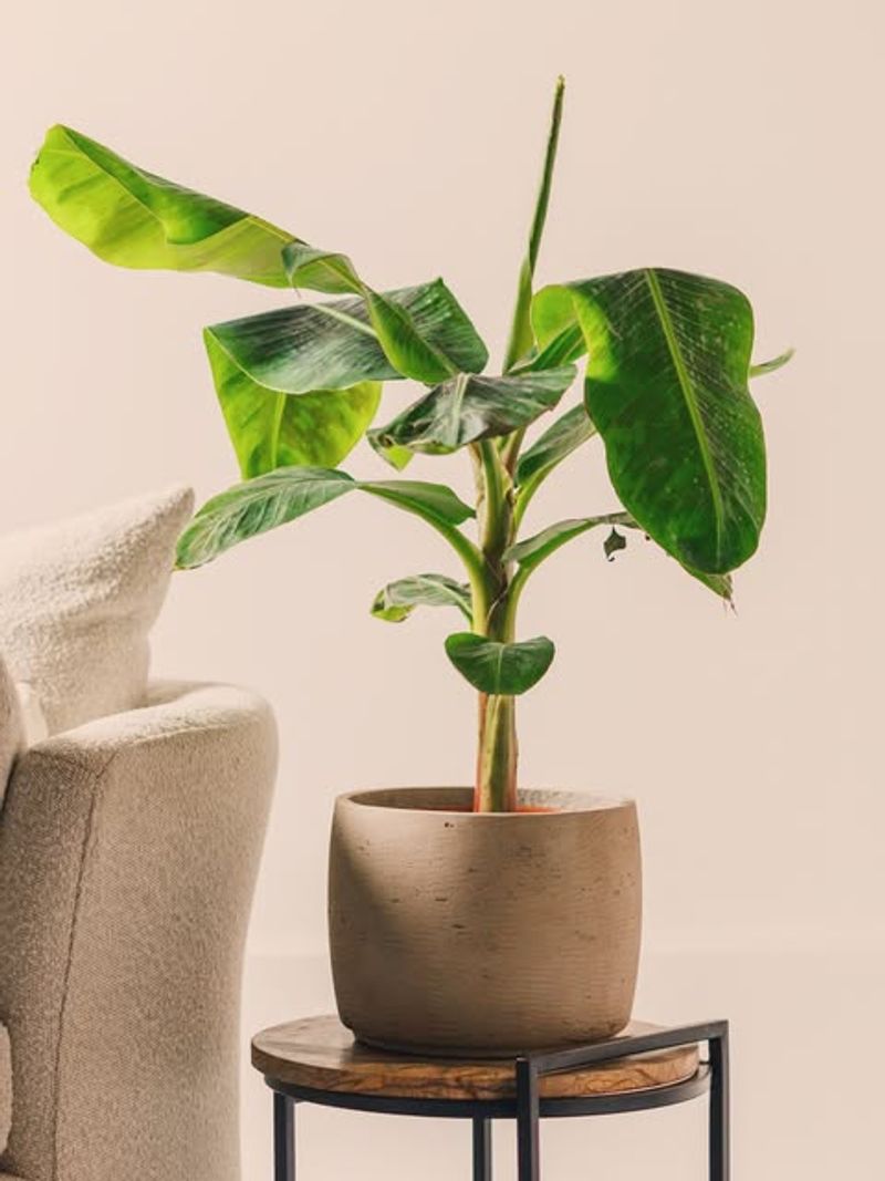 7. What You Should Actually Do Instead