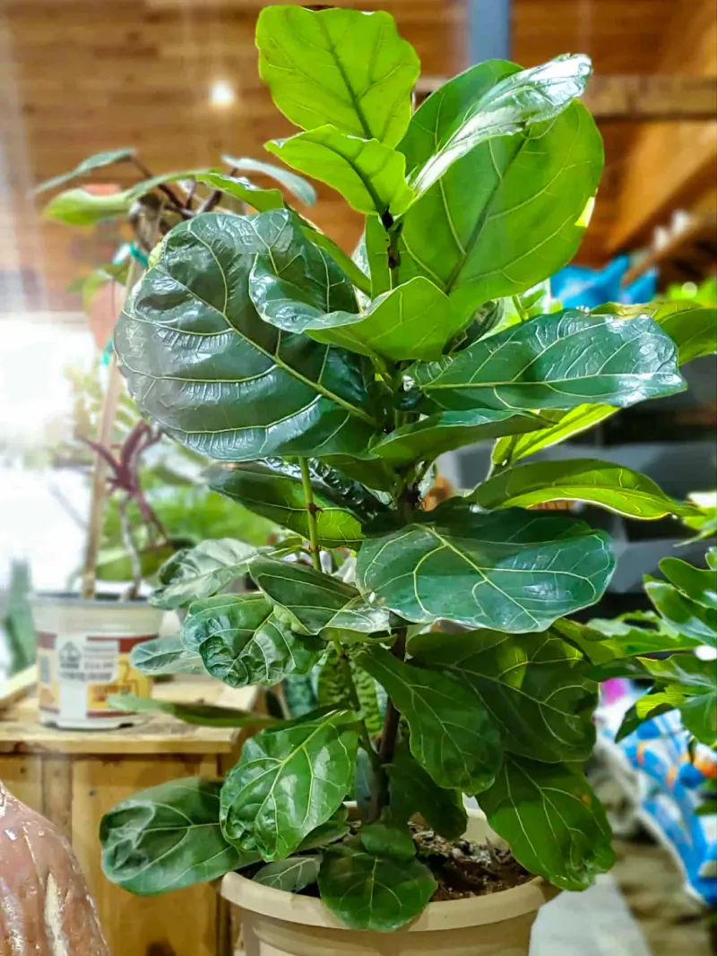 7. Keep The Temperature Stable