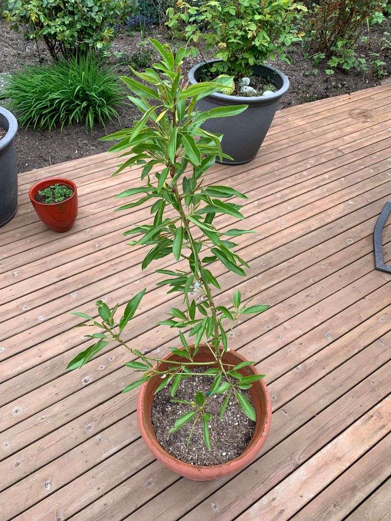 7. Keep The Temperature Warm And Stable