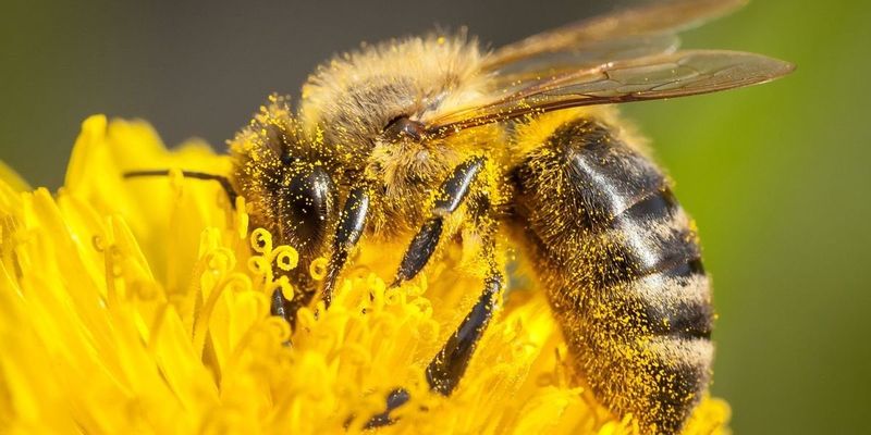 Pesticide Exposure from Agricultural Practices