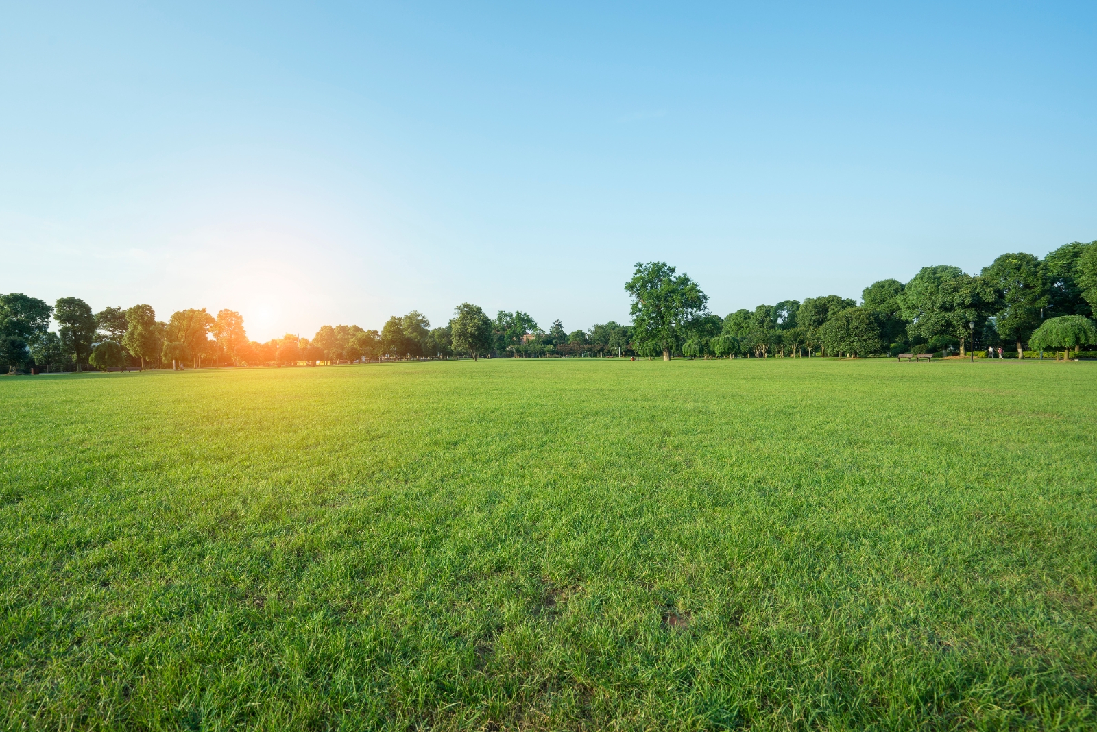 7 Common Mistakes Damaging Rhode Island Lawns This Fall