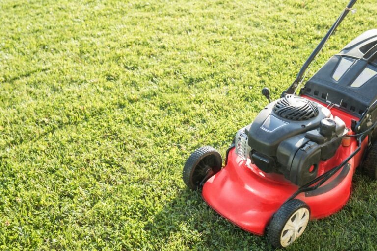 Lawn mower cutting green grass in backyard
