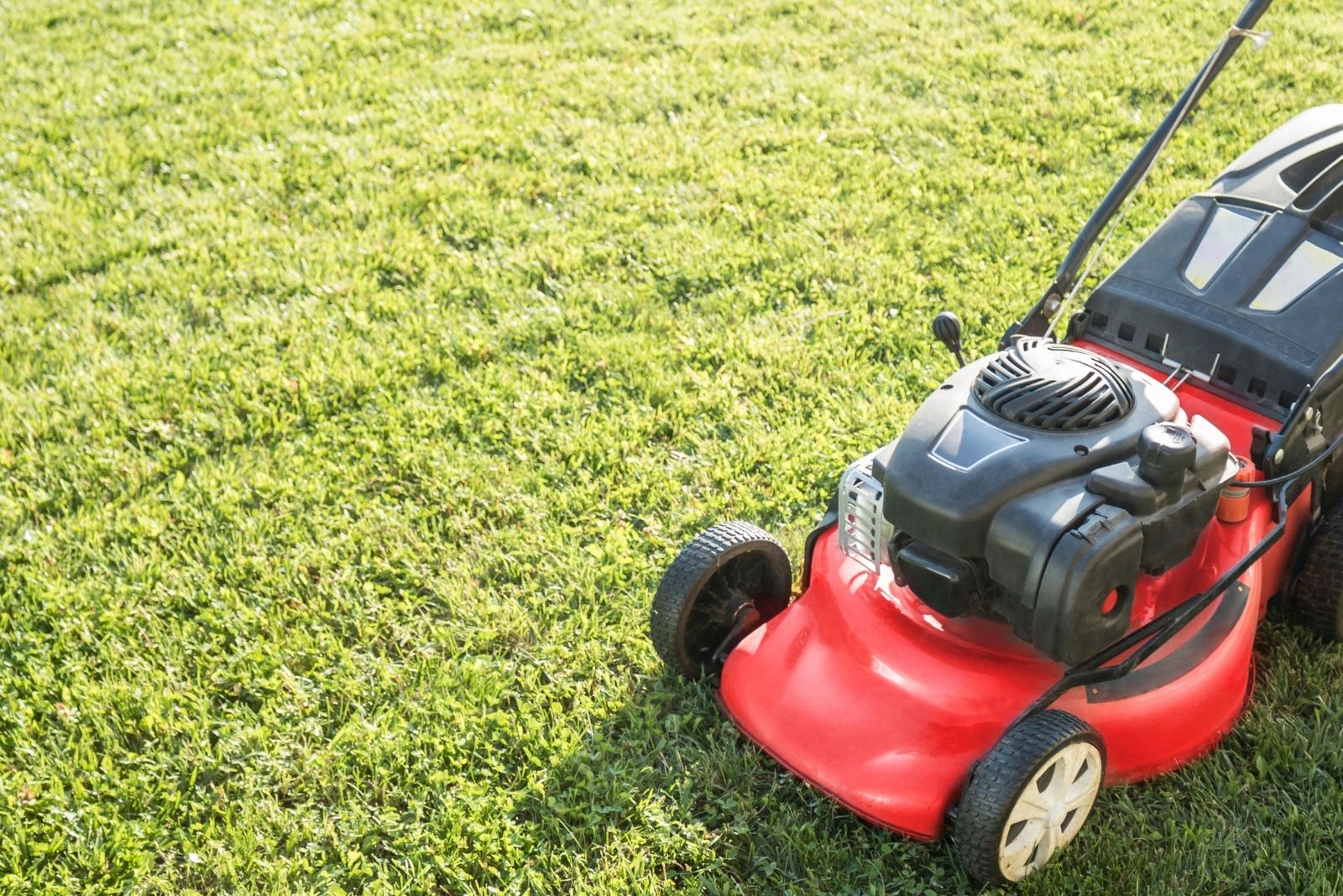 Lawn mower cutting green grass in backyard