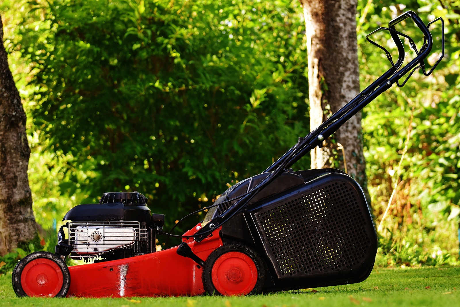 7 Lawn Mowing Rules Tennessee Homeowners Should Follow In November