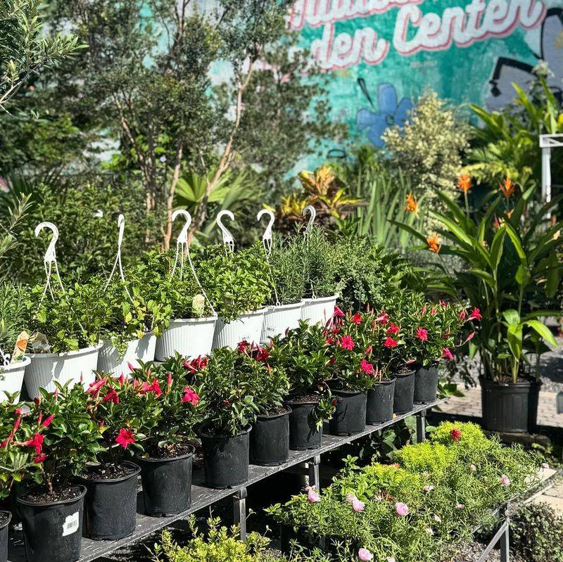 Ignoring Florida's Hardiness Zone