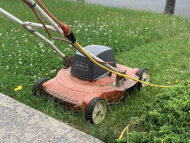 Raise Your Mower Blade Height